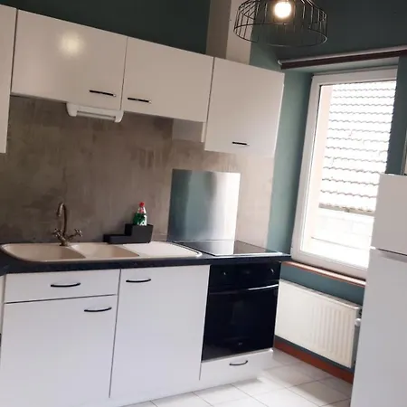 Des Mines D'argent- Le Saint-louis 5 Personnes Avec Terrasse Privative-le Saint-barthelemy 4 Personnes Sainte-Marie-aux-Mines