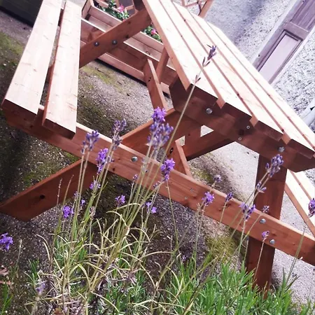 Apartamento Des Mines D'argent- Le Saint-louis 5 Personnes Avec Terrasse Privative-le Saint-barthelemy 4 Personnes Sainte-Marie-aux-Mines